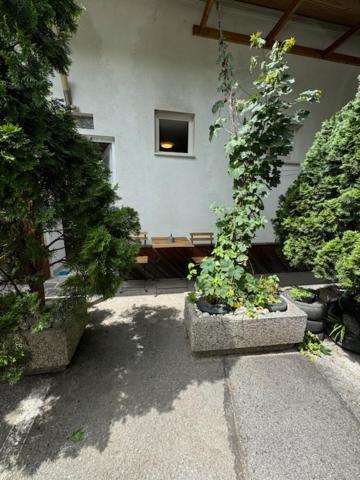 Cozy Flat Near Tivoli Park With Free Parking Apartment Любляна Екстериор снимка